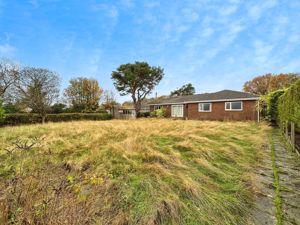 Photo 12- click for photo gallery